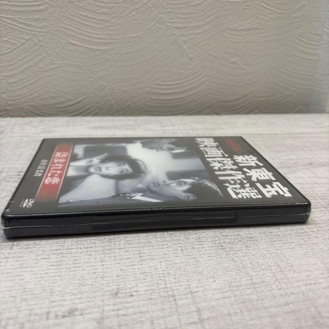 《新品未開封品》盗まれた恋('51新東宝/青柳プロ) 希少