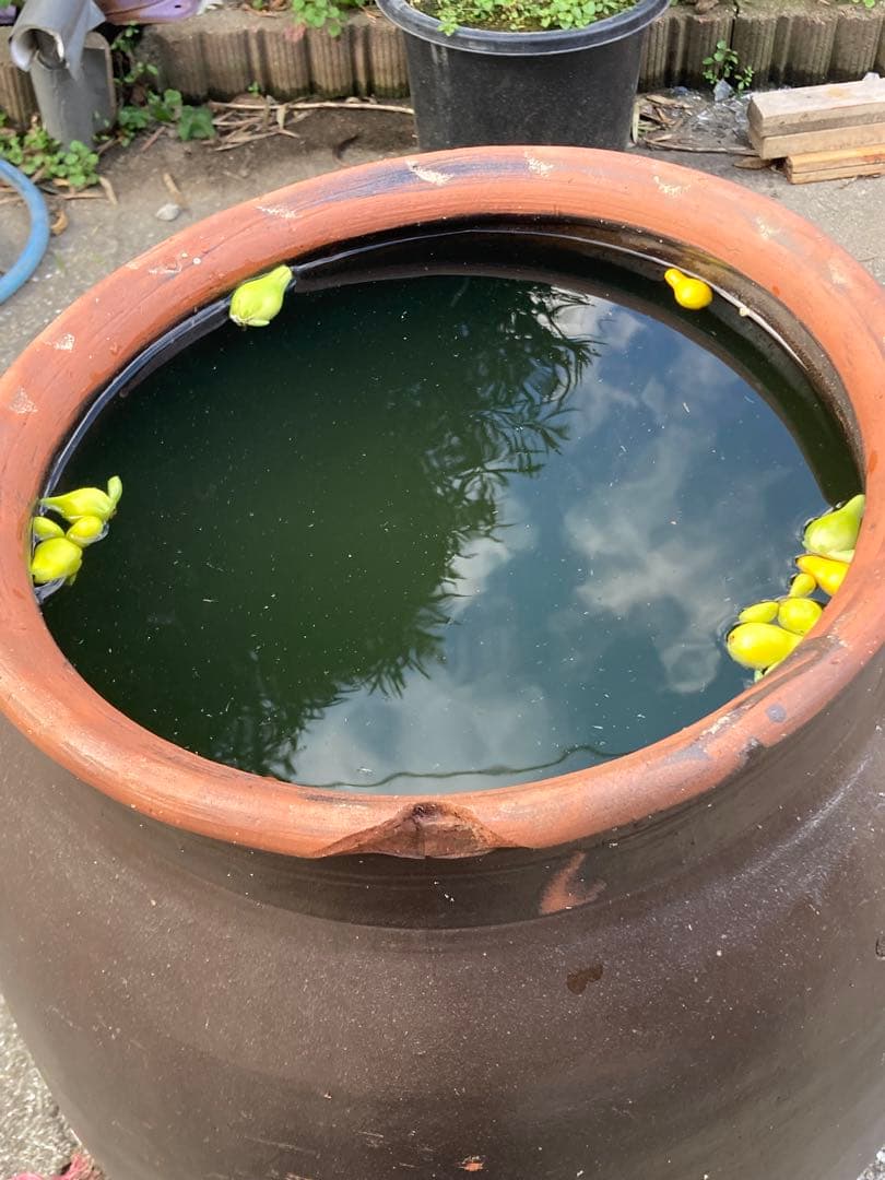 訳あり。存在感抜群！時代物 陶器の大型甕 古い壺 。茶褐色。和モダン