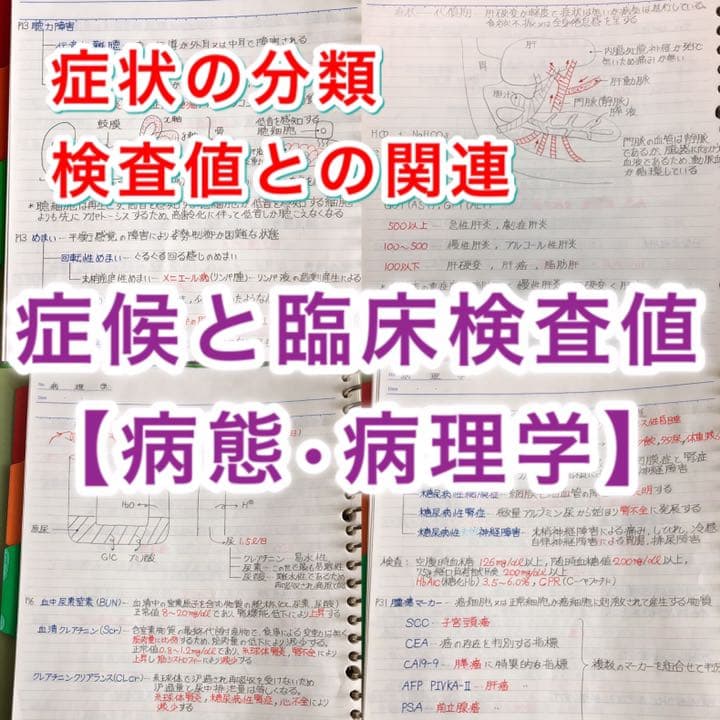 理学療法士、作業療法士国家試験、学科定期試験対策シリーズ【病理学