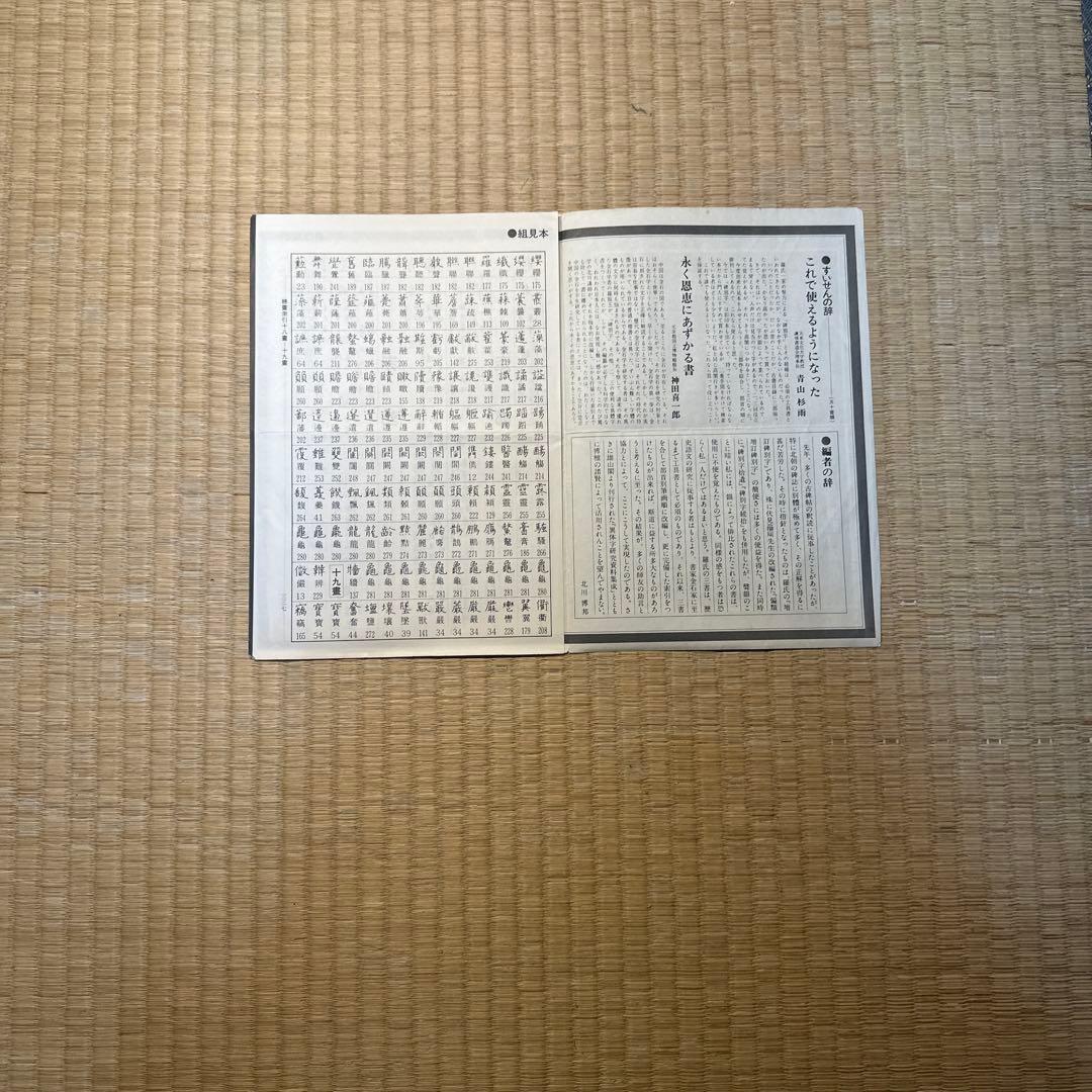 希少】古書 古本 清人蒙隷字集 北川博邦編 辞典 習字 書体 - メルカリ
