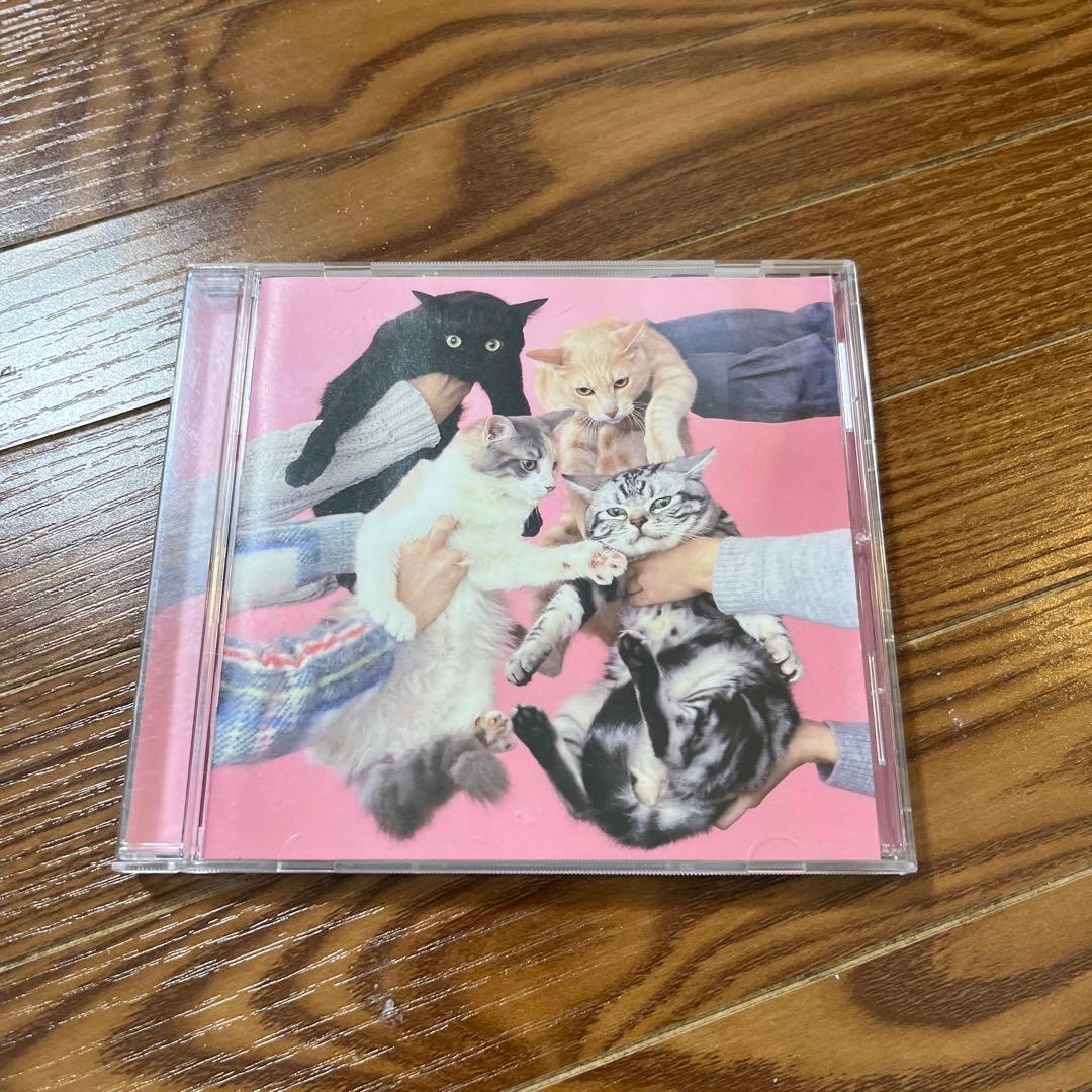 きのこ帝国 猫とアレルギー レンタル落ち ベスト アルバム CD ロック