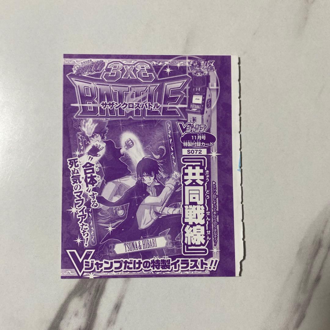 未開封】家庭教師ヒットマンREBORN サザンクロスバトル 雲雀恭弥 沢田