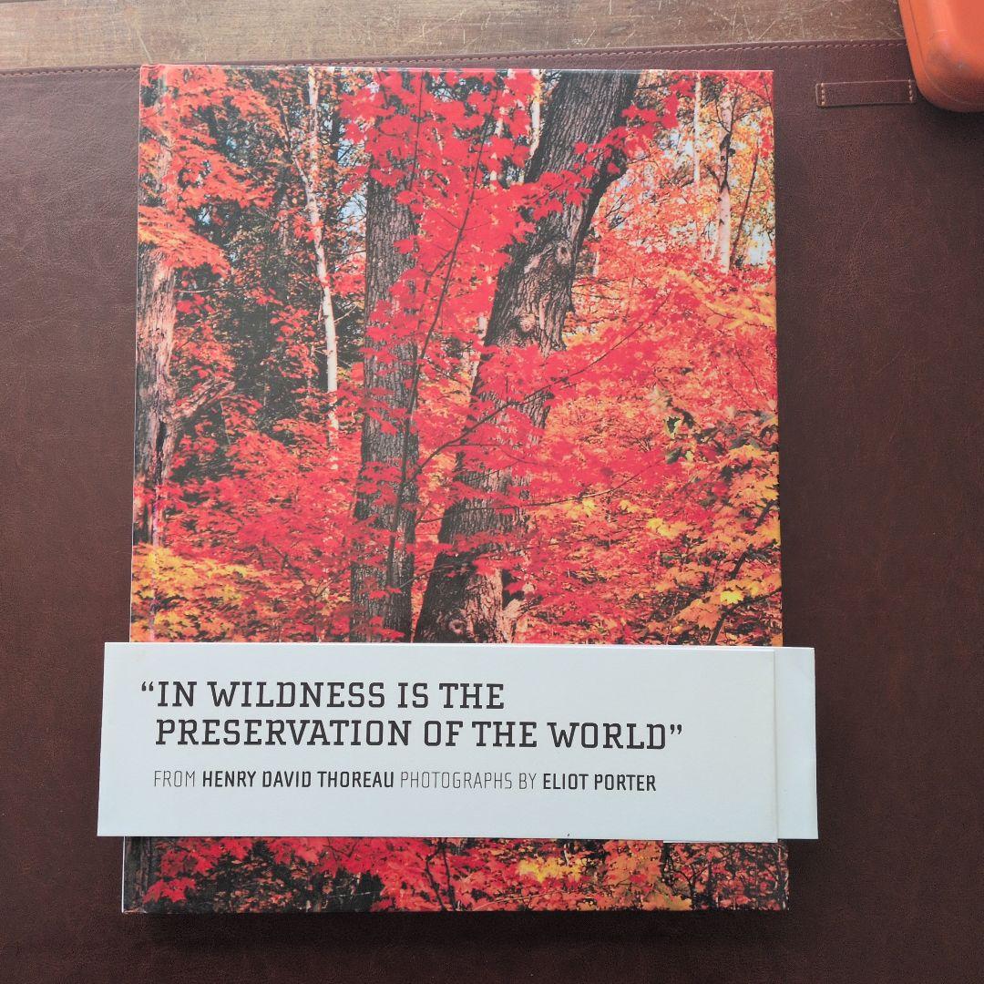 eliot porter エリオット・ポーター　写真集 MAINE Eliot Porterエリオット・ポーター写真集 - 古本買取 2手舎/二手