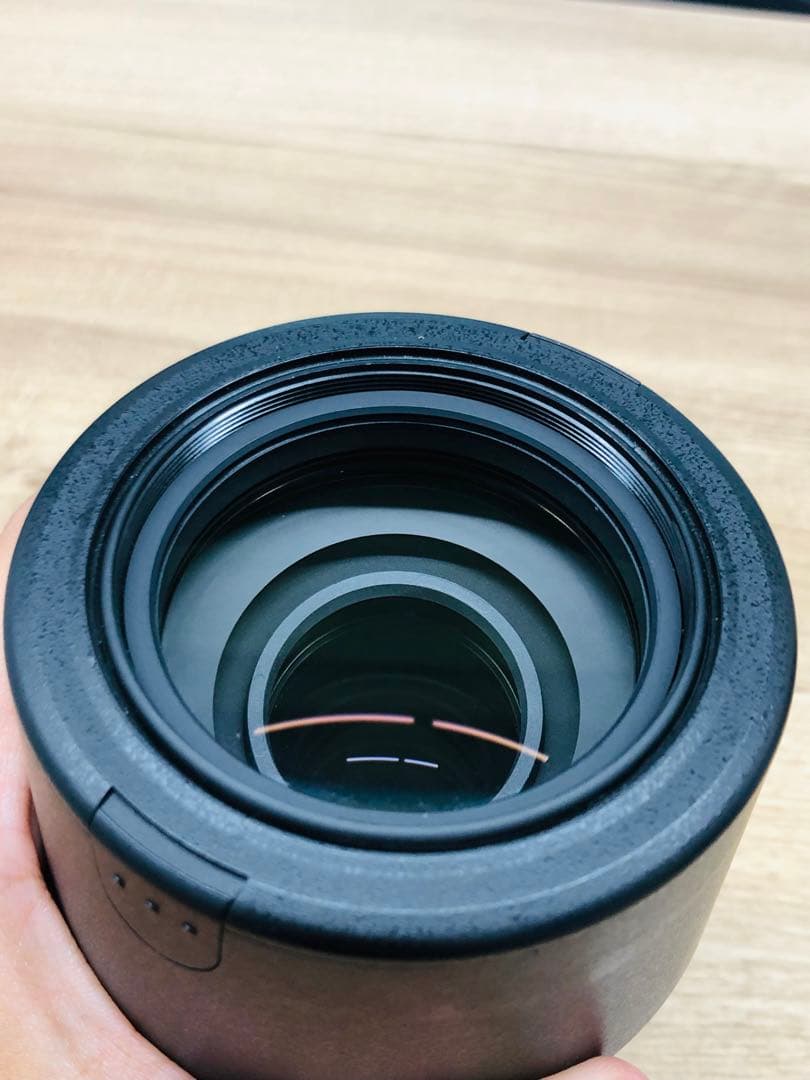 Nikon 望遠ズームレンズ AF-S DX 55-300mm f4.5-5.6