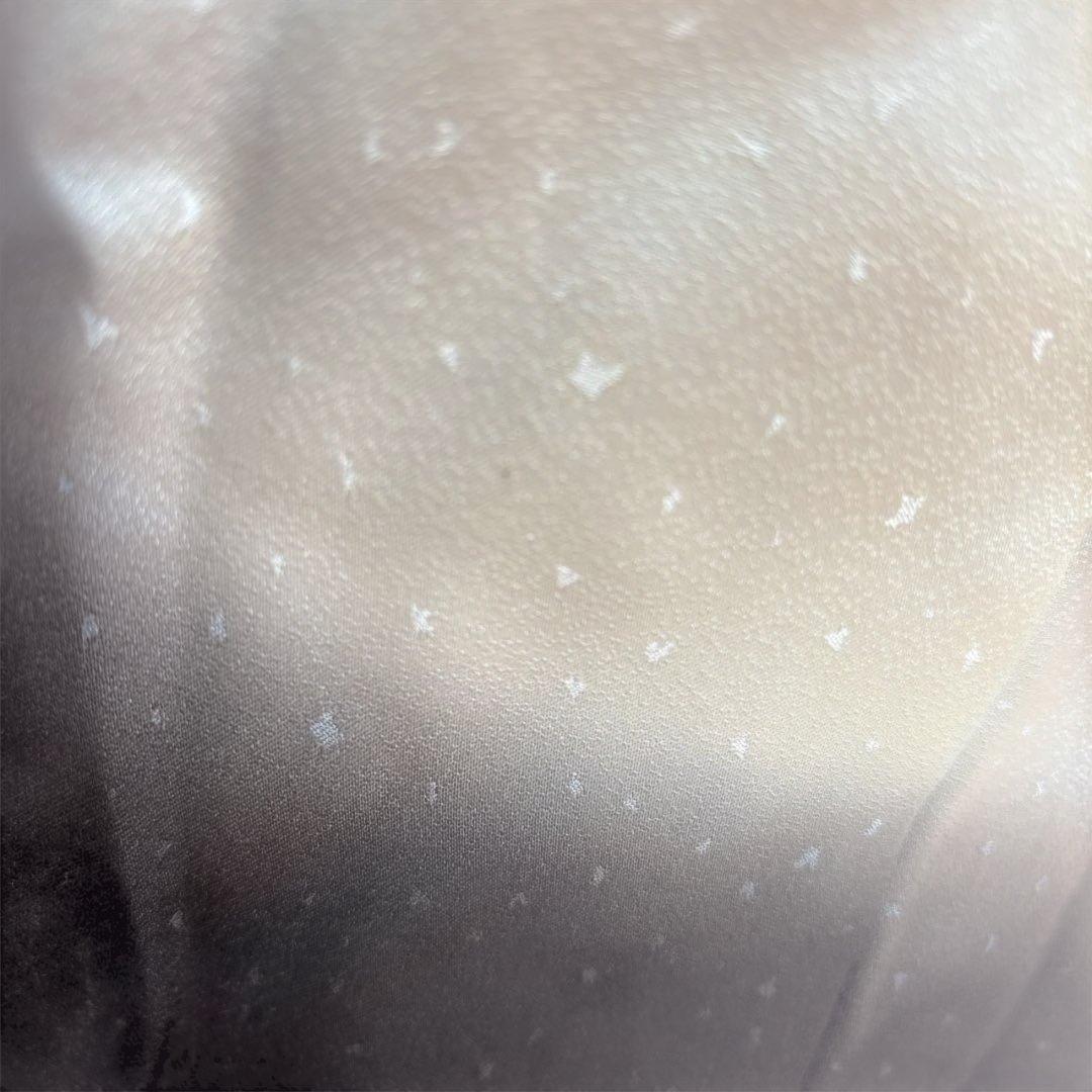 正絹 さが美 はればれ加工済み絞り小紋着物