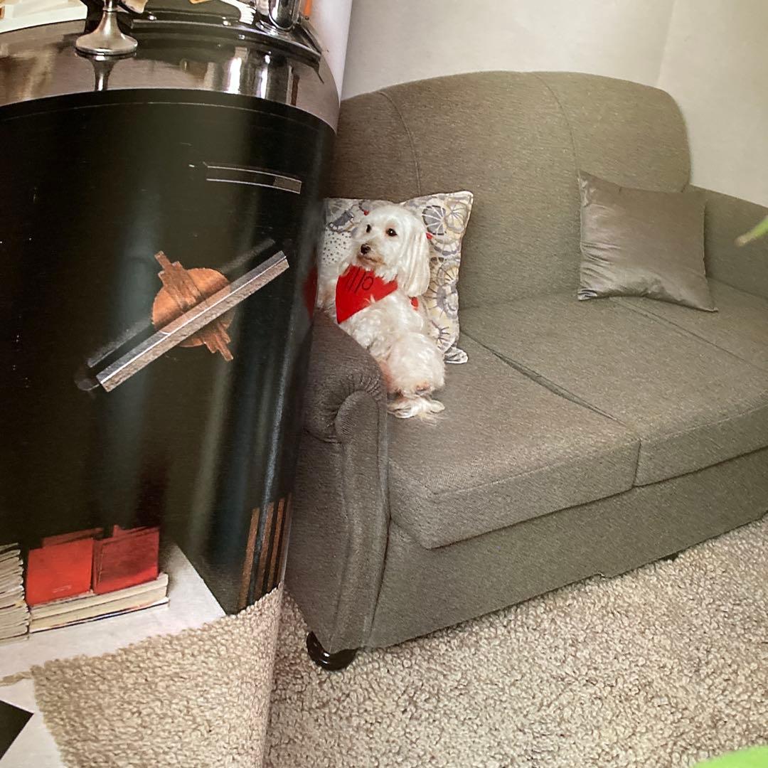 1984年（昭和59年）YMO BOOK OMIYAGE 小学館GORO特別編集 - メルカリ