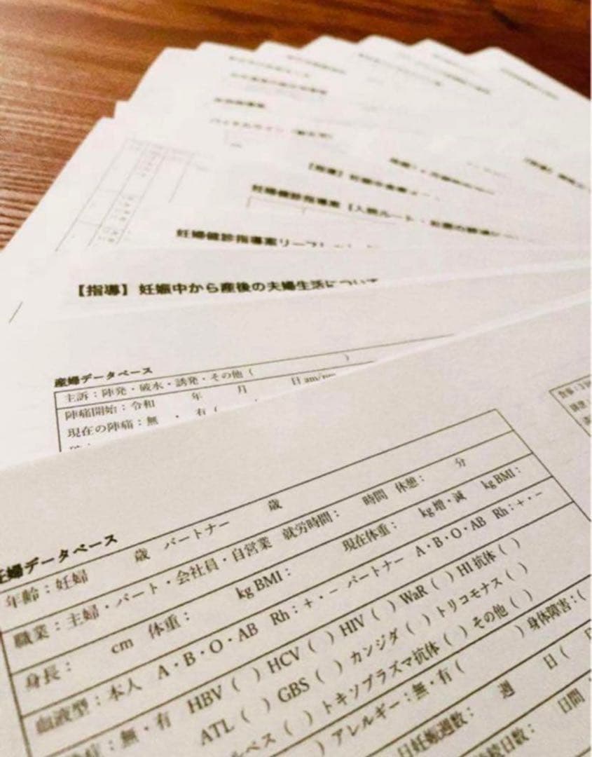 助産師 助産学生 実習乗り切りセット ポケットサイズ 事前学習 実習