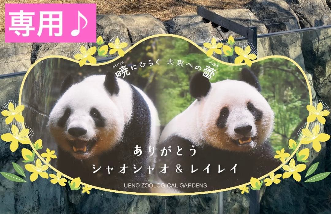 専用　シャオシャオ＆レイレイ SHARE YOUR ADVENTURES！」がコンセプトの、クワッド・プルーフ搭載