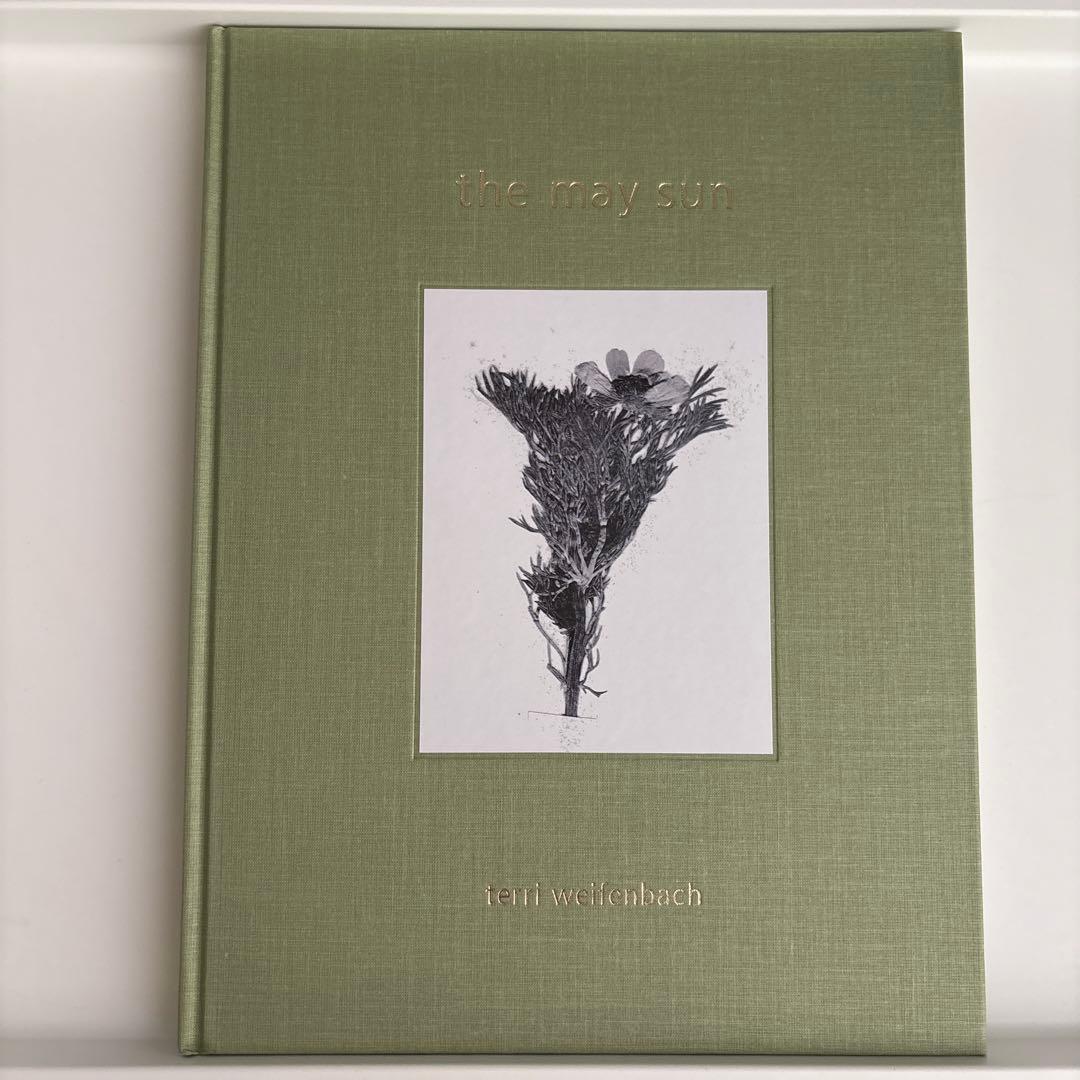 テリ・ワイフェンバックTerri Weifenbach: The May Sun - メルカリ