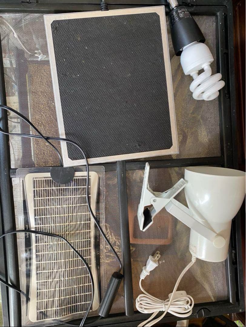 ぱちページ 食後から急に静かに. ピーク時から半分以上のまれておる。。 #PR