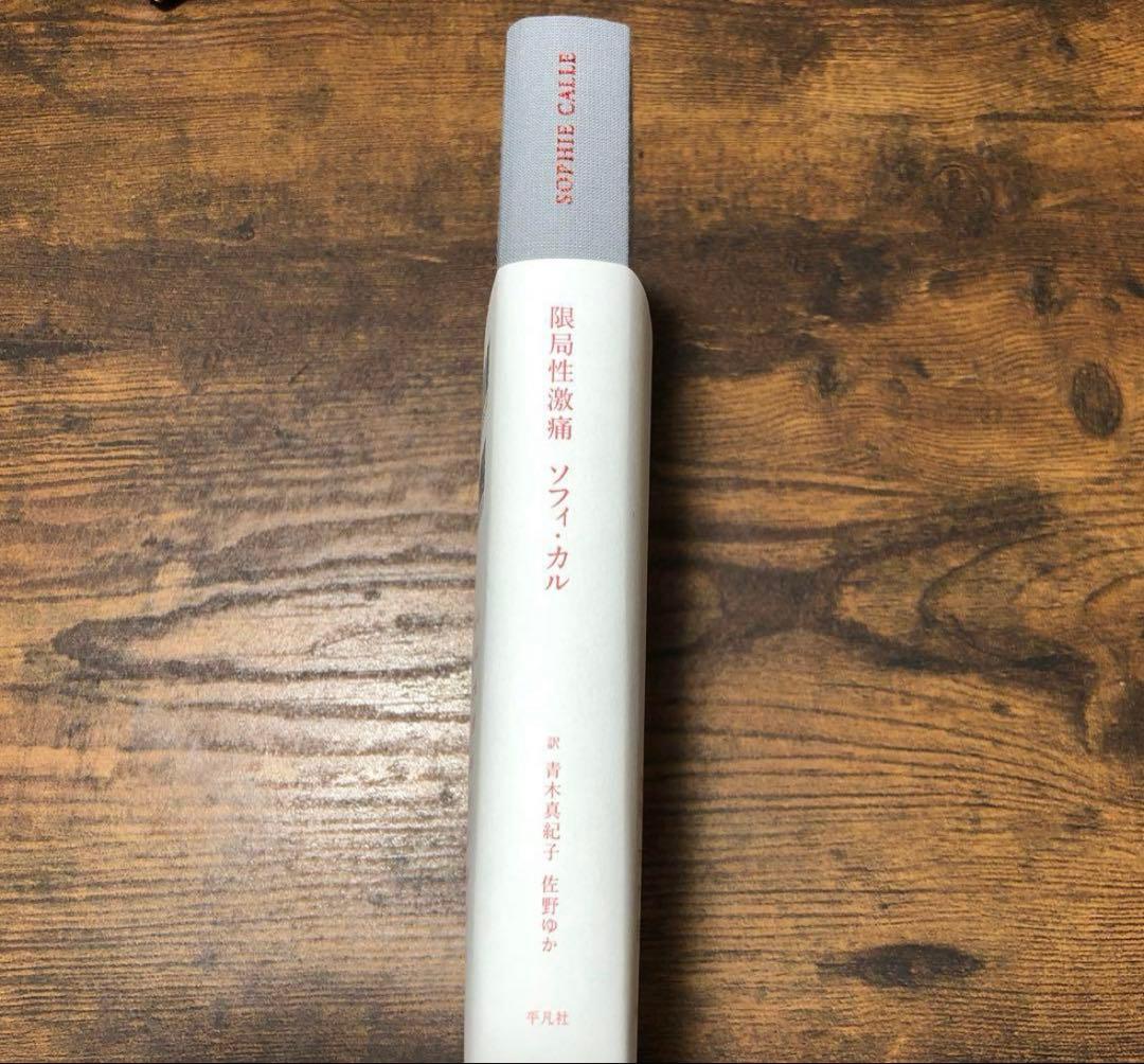 限局性激痛 Douleur exquise ソフィ・カル