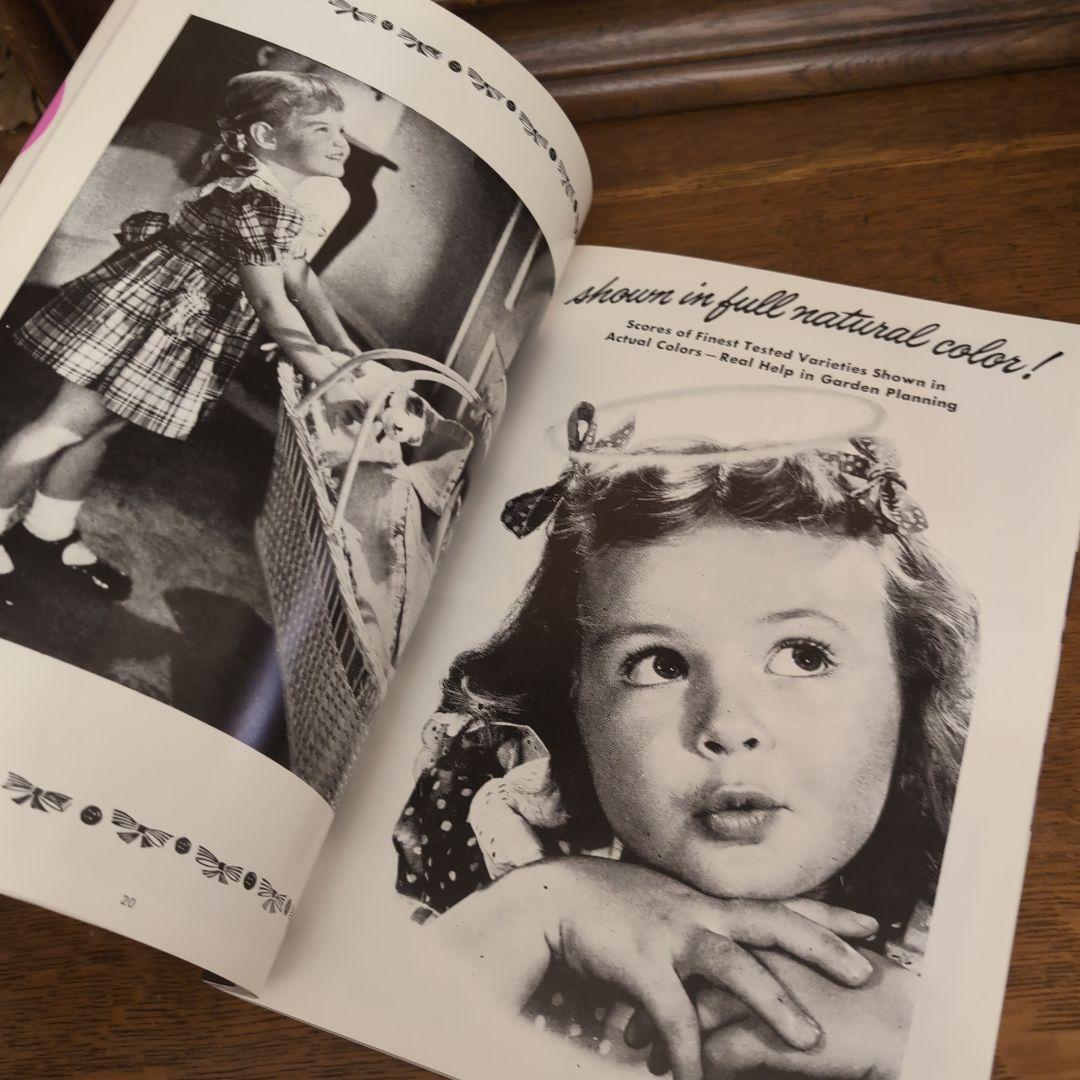 アメリカン・アドバタイジング 50s!SCRAP ジャンクジャーナル - メルカリ