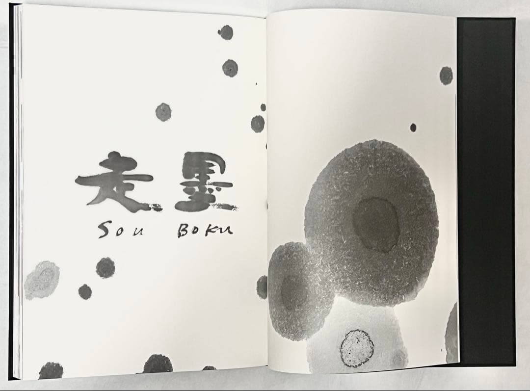 エディションナンバー入り】長野オリ書道家 増永広春氏作品集 走墨