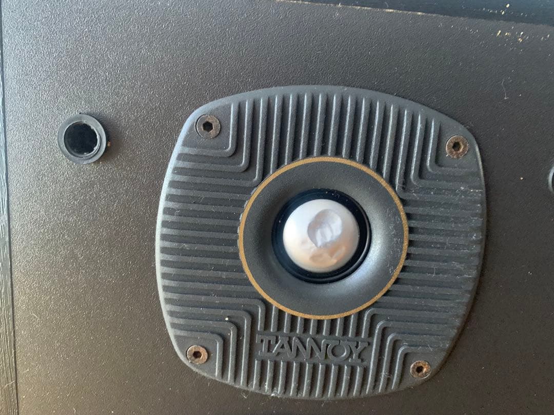 ハ*ウ様 TANNOY E11