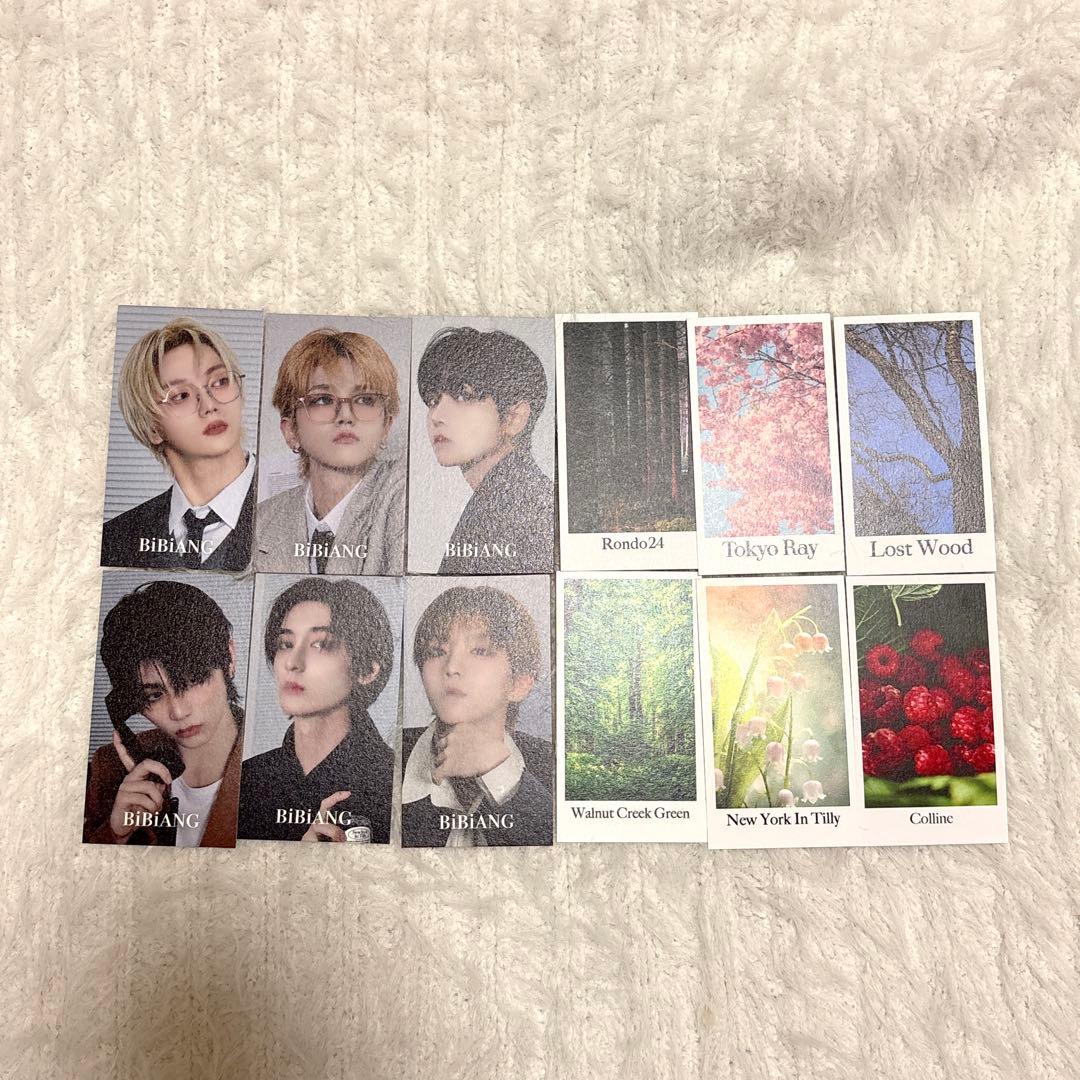 コンプ】BIBIANG boynextdoor 6人 トレカセット ボネクド - メルカリ