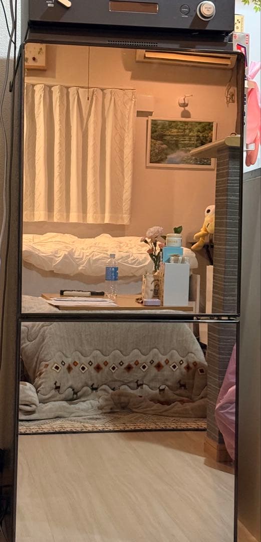 ブラック冷凍冷蔵庫　直立型 2段棚　 ★3月20日〜配送準備★ Amazon.co.jp 最新リリース: 直立型冷凍庫 の新着ランキングです。