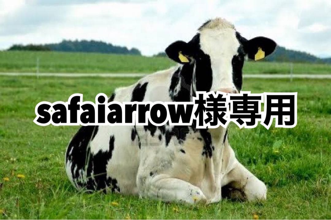 貼付GOLD4、グリーン5、ターコイズ24 貼付GOLD4、グリーン5、ターコイズ24 貼付GOLD4、グリーン5