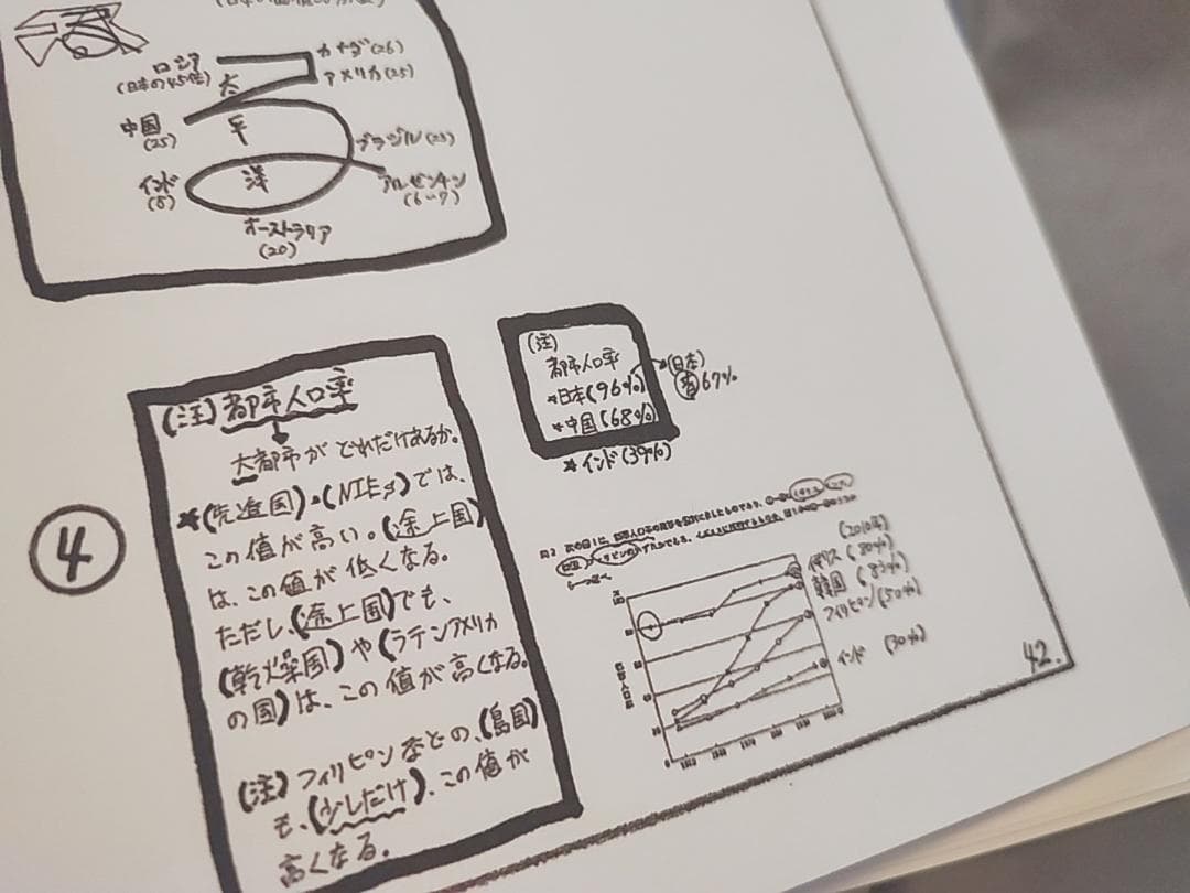 駿台 岡田先生 地理配布プリント 書き込み無し 河合塾 鉄緑会 SEG 東進