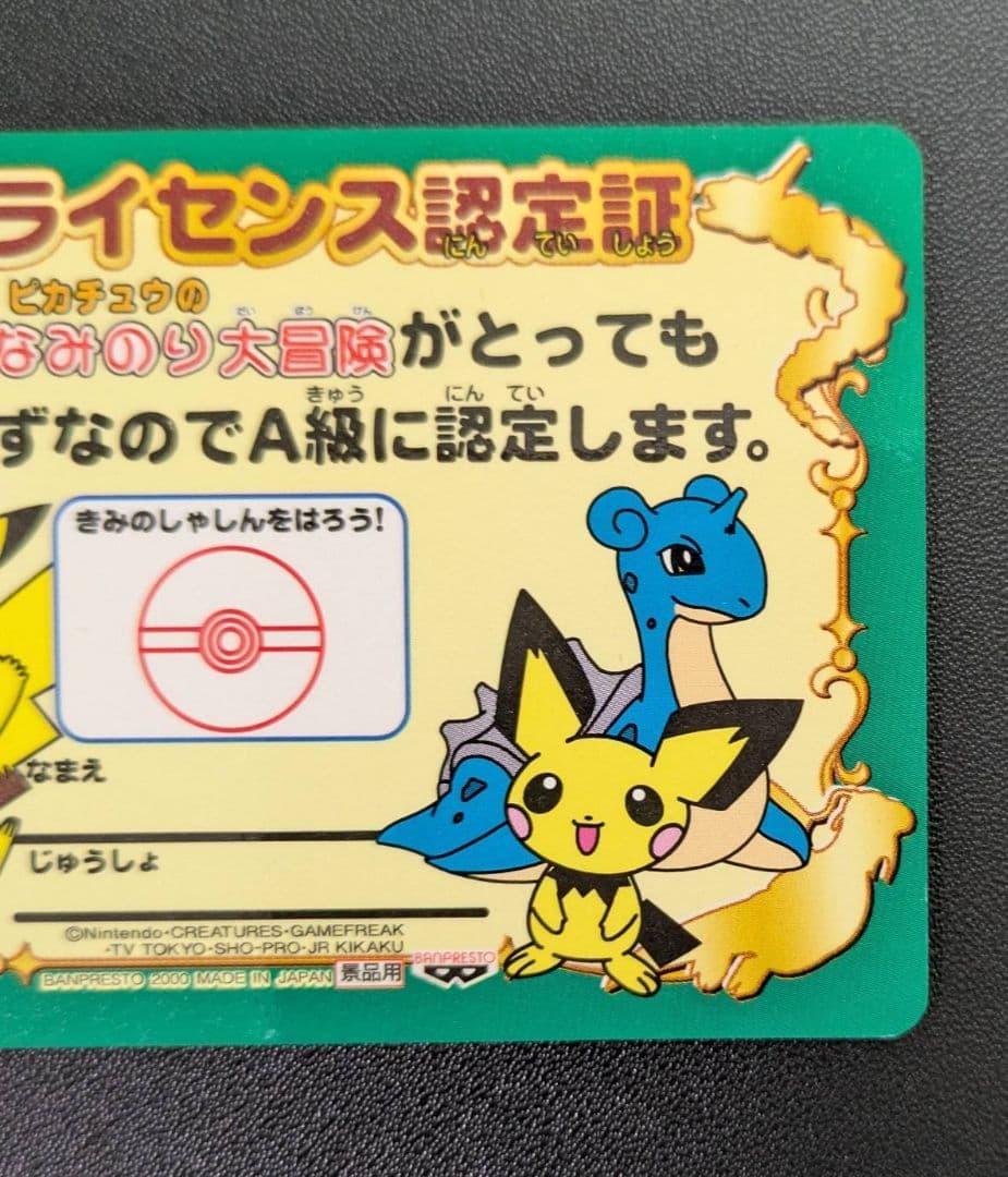 なみのり大冒険ライセンス