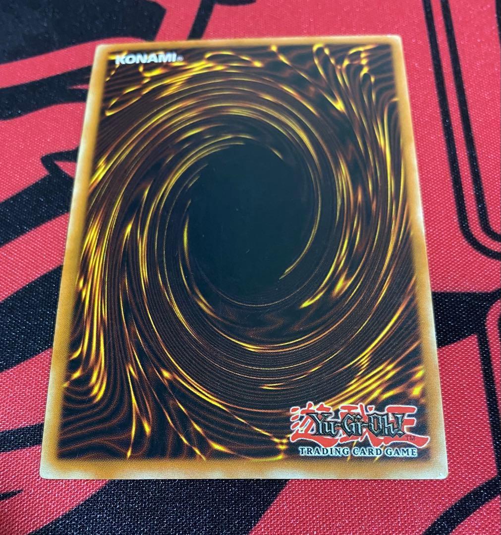 青眼の白龍 ブルーアイズ ホワイトドラゴン ポルトガル語版 DIK-P001