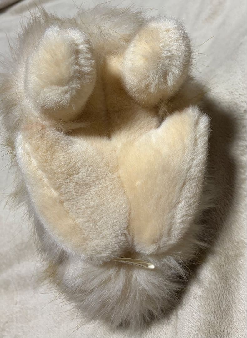 犬 三英 スピッツ ポメラニアン ぬいぐるみ ベージュ - メルカリ