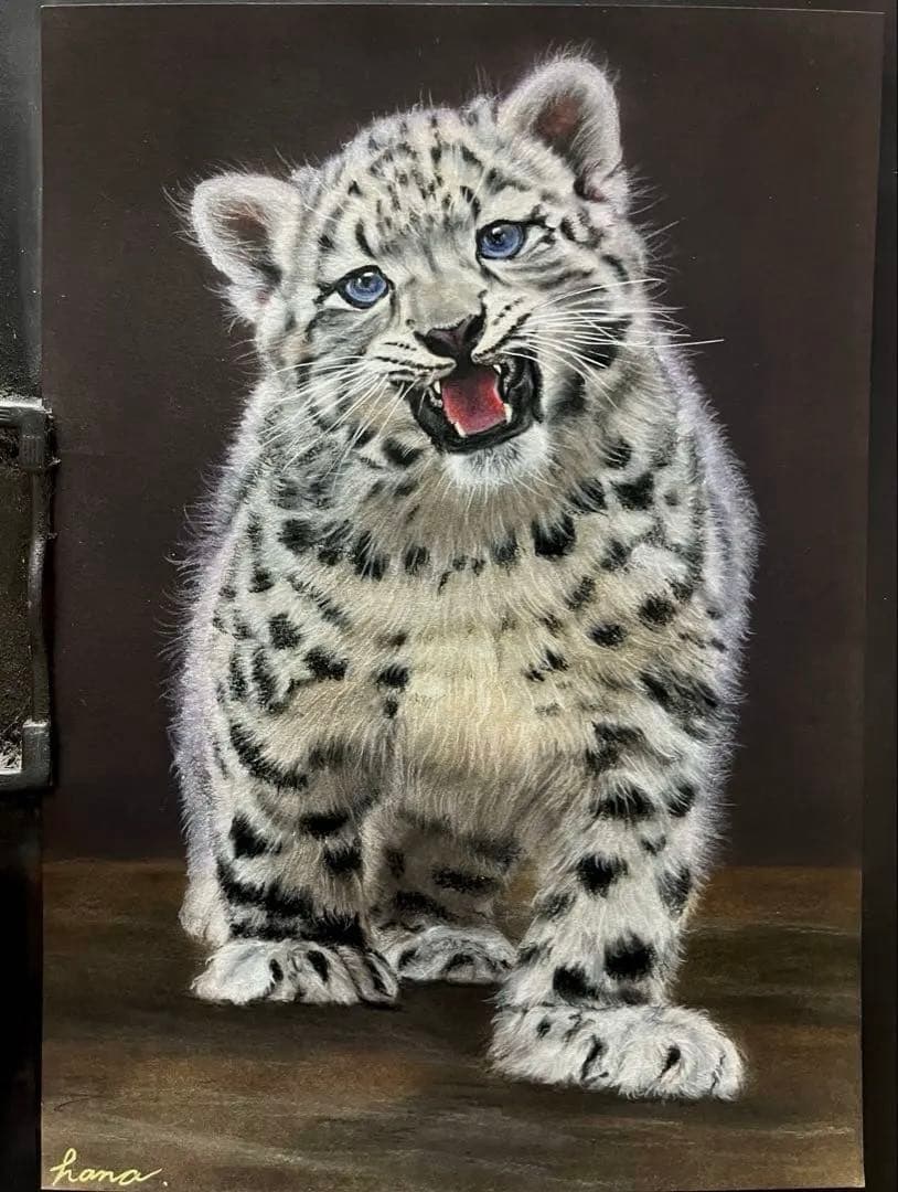 ぼくはユキヒョウ！ 色鉛筆画 - メルカリ