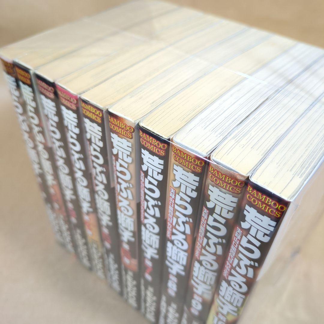 荒らぶる獅子 全10巻完結セット (バンブー・コミックス)