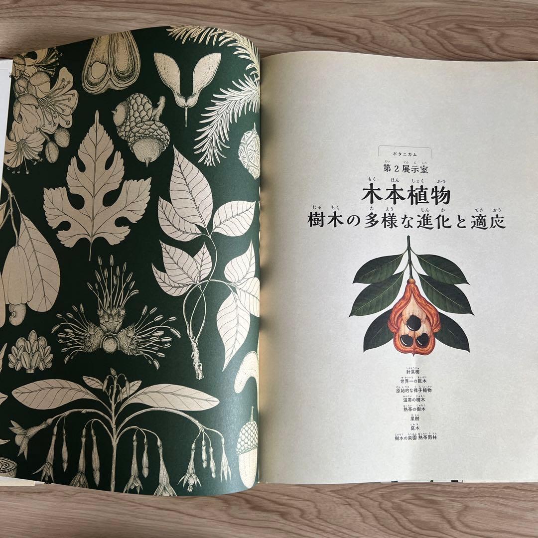 ボタニカム ようこそ、植物の博物館へ - メルカリ