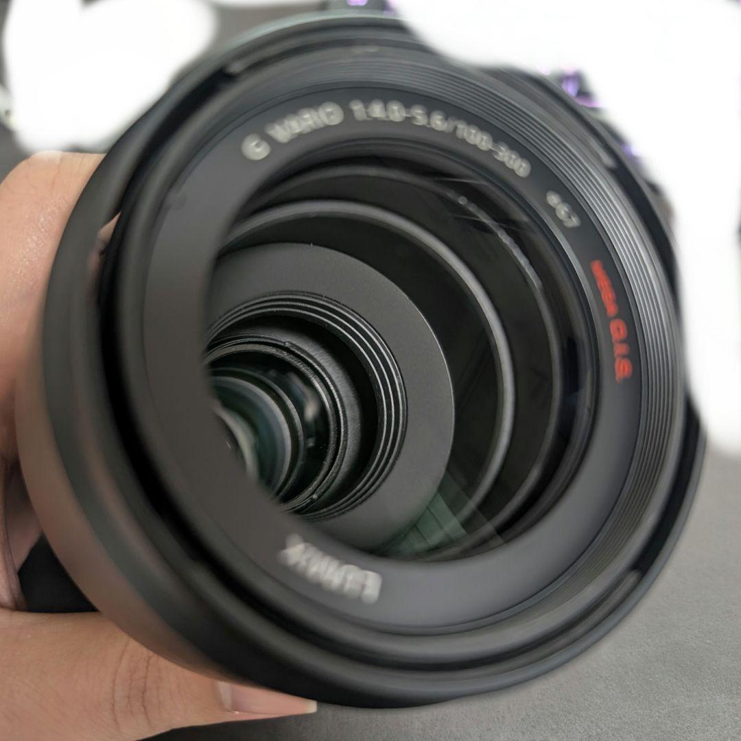 レンズ(ズーム) LUMIX G VARIO 100-300mm/F4.0-5.6