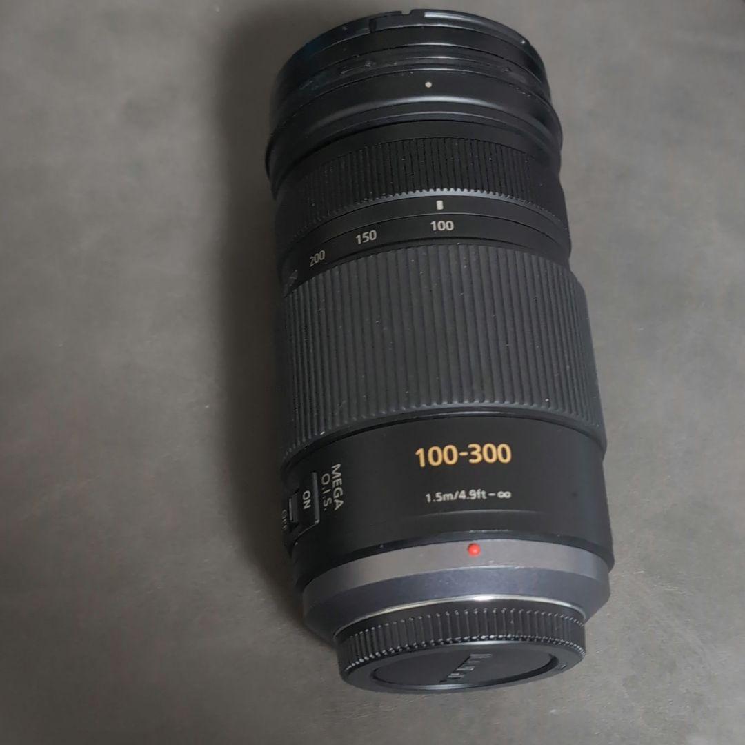 レンズ(ズーム) LUMIX G VARIO 100-300mm/F4.0-5.6