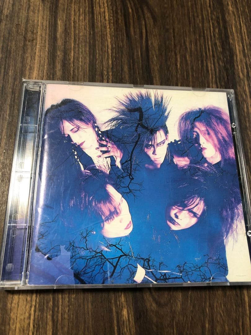 LUNA SEA インディーズ　初回限定写真集付