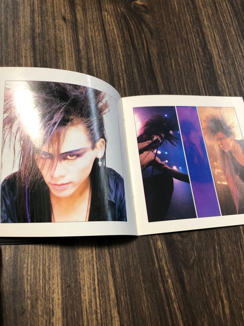 LUNA SEA インディーズ 初回限定写真集付 - メルカリ