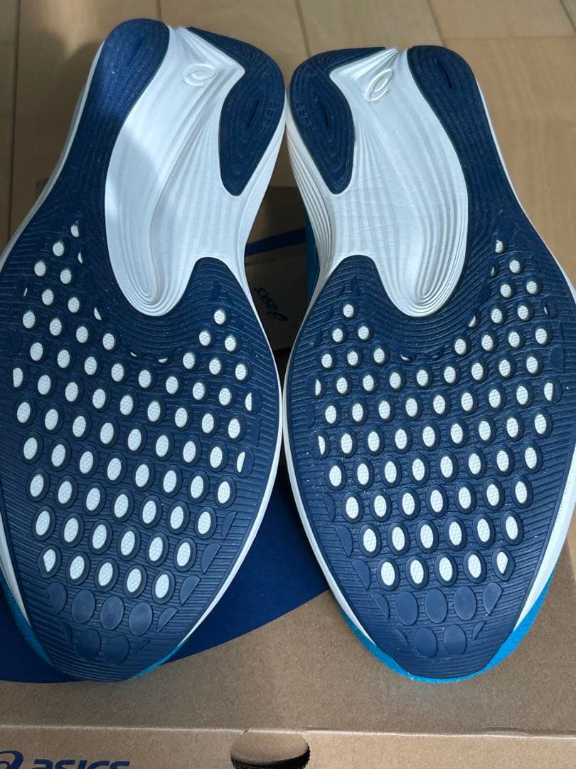 asics アシックスEvoRide SPEED 2 WIDE 26.0cm