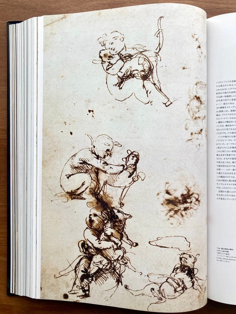 レオナルド・ダ・ヴィンチ 全絵画作品・素描集 - メルカリ