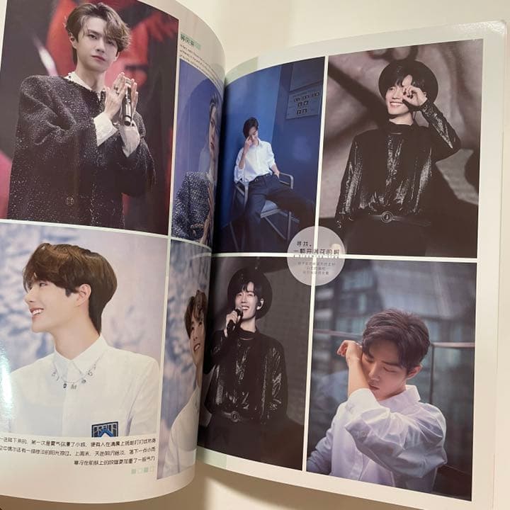 陳情令 博君一肖「季節の味道」タイファンミ写真集【BEST】 - メルカリ