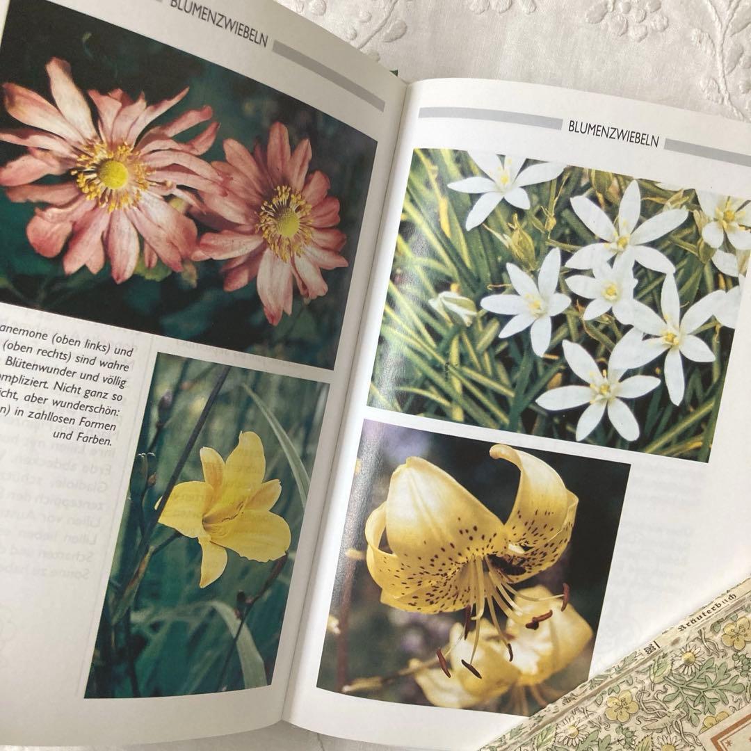 L848 洋書古書 1990年代発行 ドイツの植物図鑑（夏の花） - メルカリ