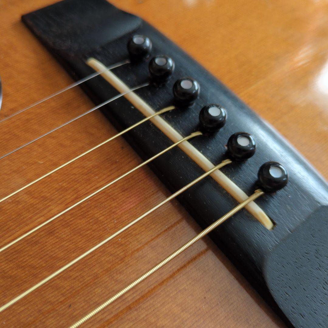 ベストセラー 商品ホビー・楽器・アート - MORRIS モーリス W-35 寺田