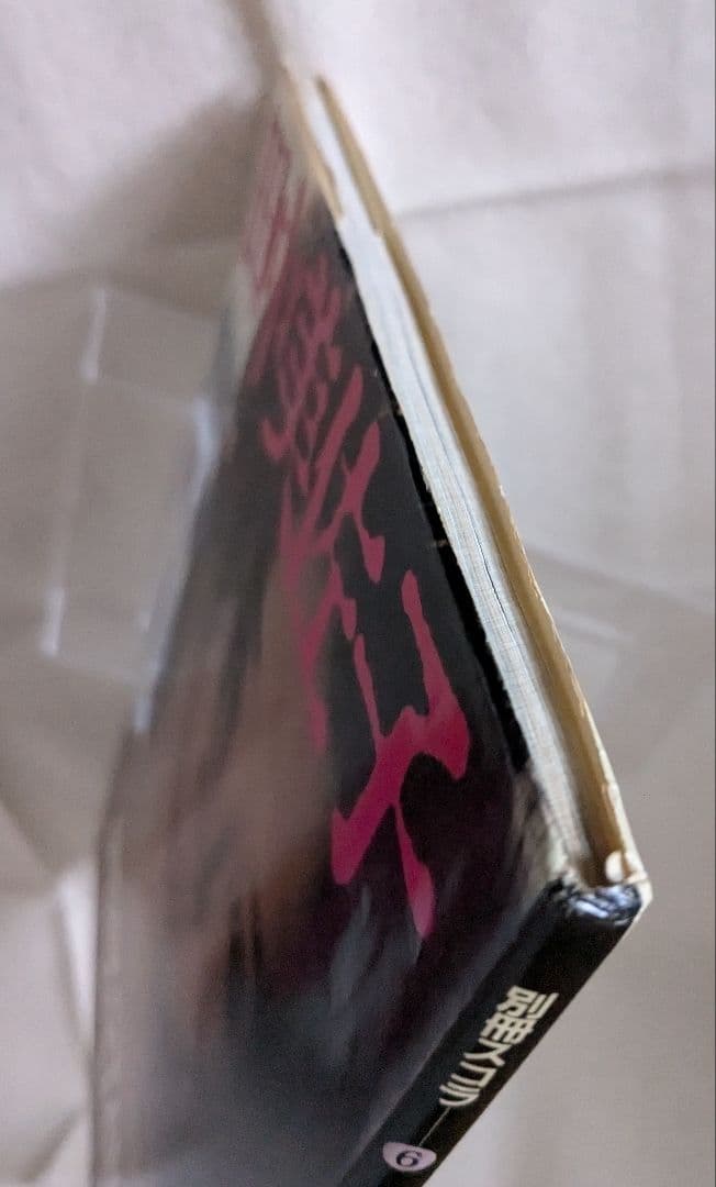 希少永久保存版◇田中美佐子 写真集 『別冊スコラ⑥』 講談社 - メルカリ