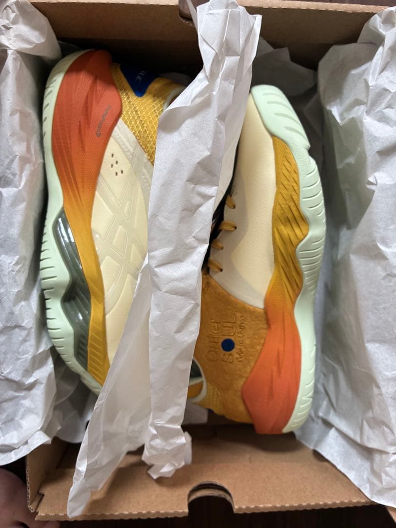 ボーラホリック × アシックス ノヴァ サージ 希少サイズ25.0 - メルカリ