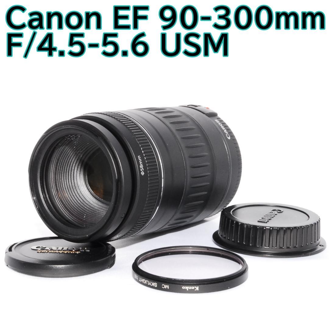 やました Canon EF 90-300mm F/4.5-5.6 USM