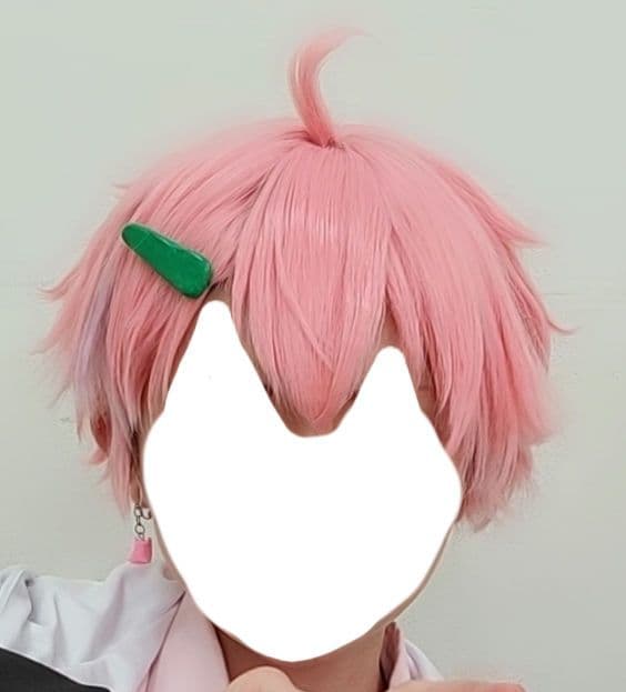 にじさんじ 笹木咲 笹木漸九 コスプレ ウィッグ - メルカリ