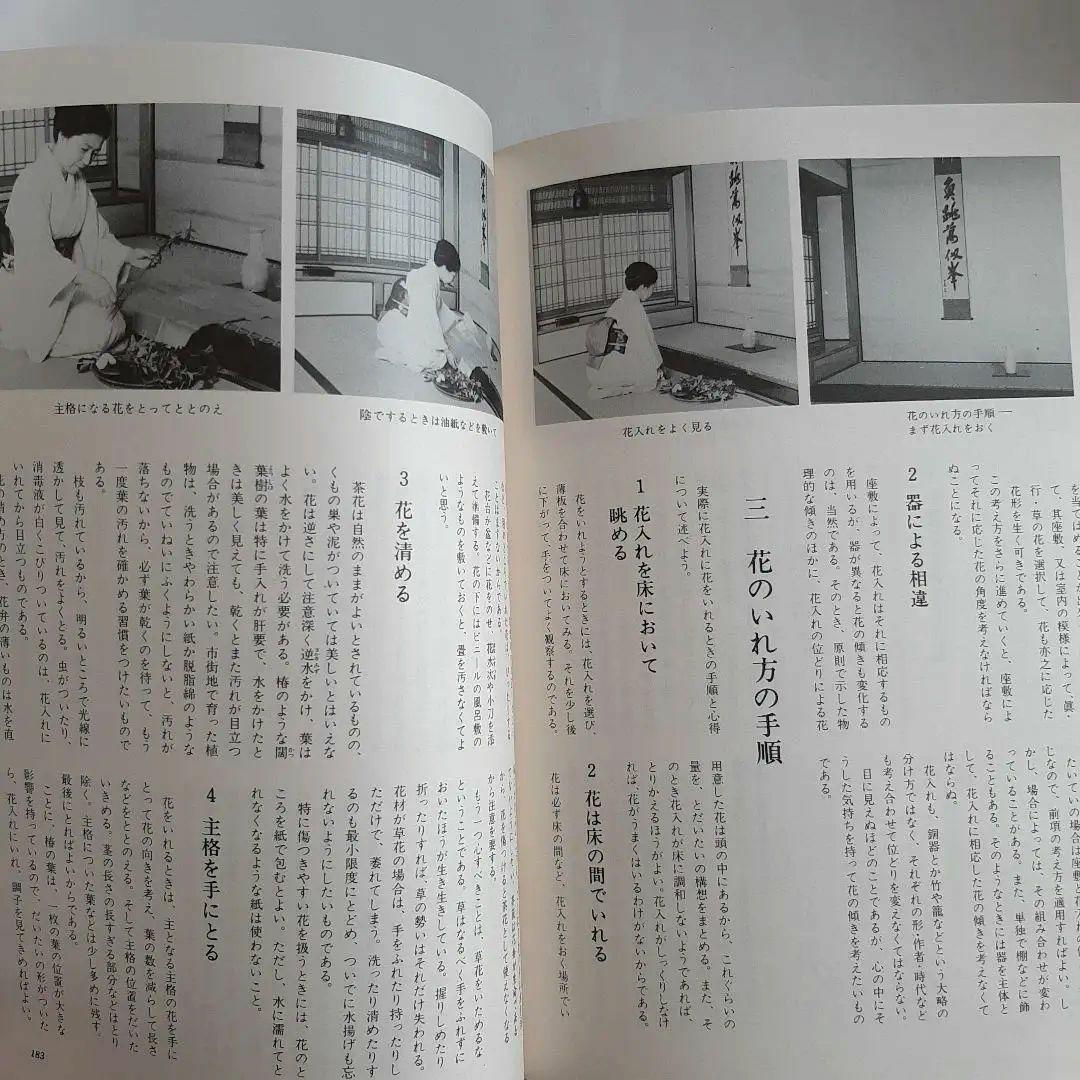 茶花入門 田中仙翁 主婦の友社