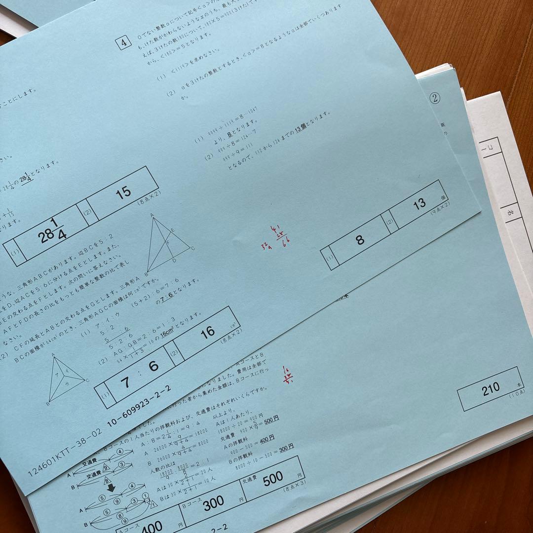 SAPIX 6年生 算数基礎力定着テスト セット全75回 - メルカリ