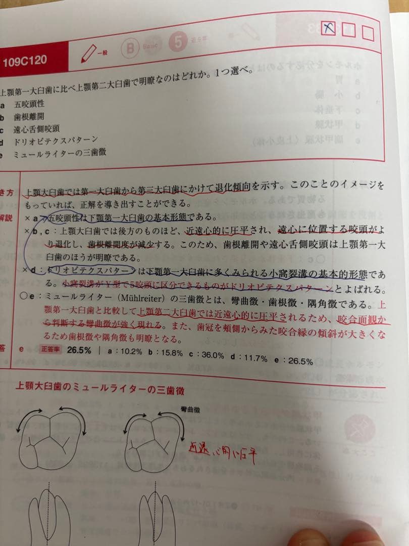 実践 2025全13巻セット 第117回、第118回歯科医師国家試験 - メルカリ