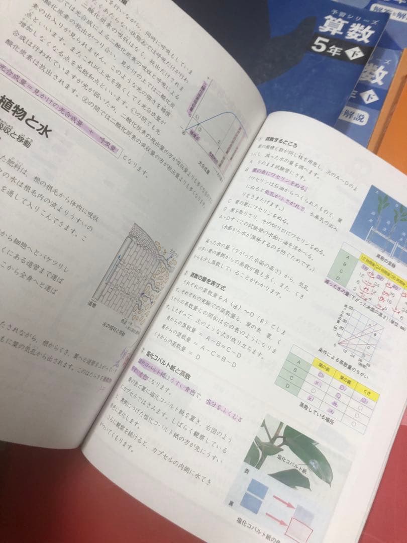 四谷大塚5年予習シリーズ国算理社/漢字 上下 中古 2023年版 - メルカリ