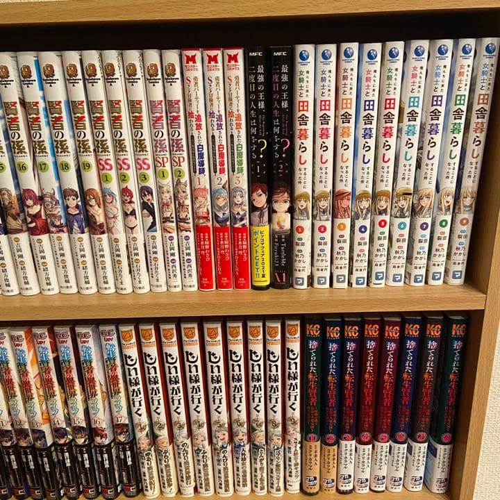 漫画　まとめ売り　異世界　NO,５　タイトル毎のバラ売りOK