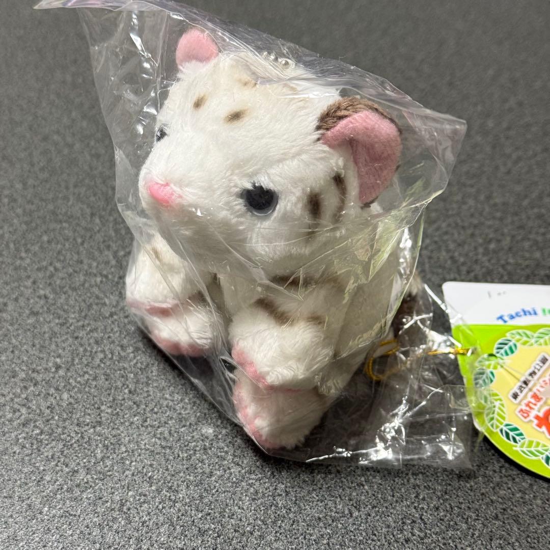 ホワイトタイガー ぬいぐるみ キーホルダー 東武動物公園 - メルカリ