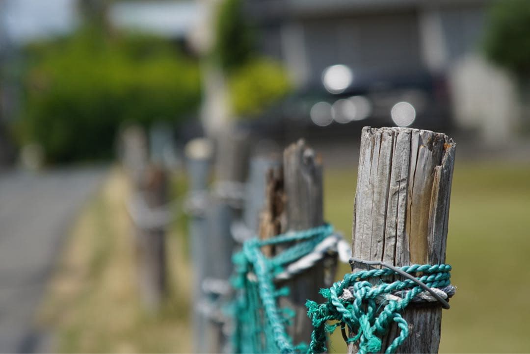 EF28-135mm F3.5-5.6 IS USM 作例あり