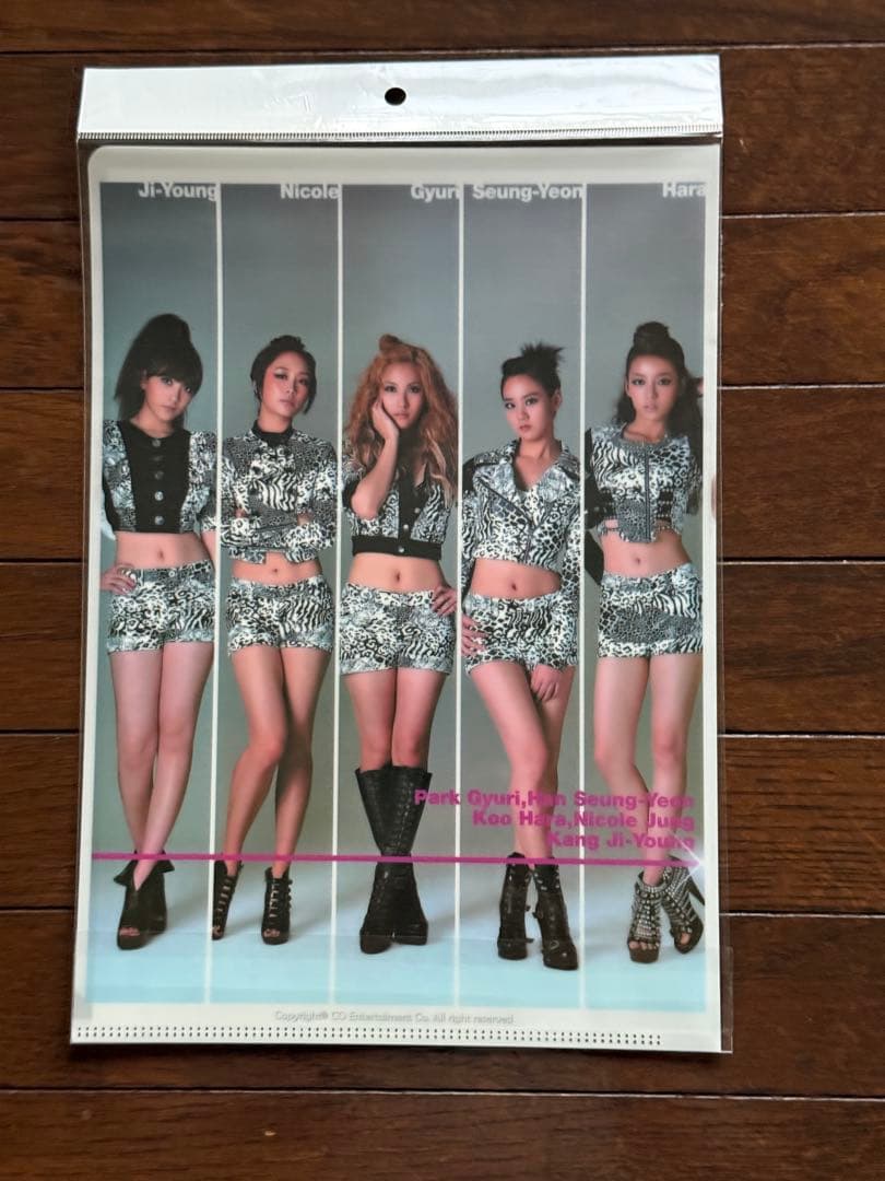 KARA クリアファイル 未開封 - メルカリ