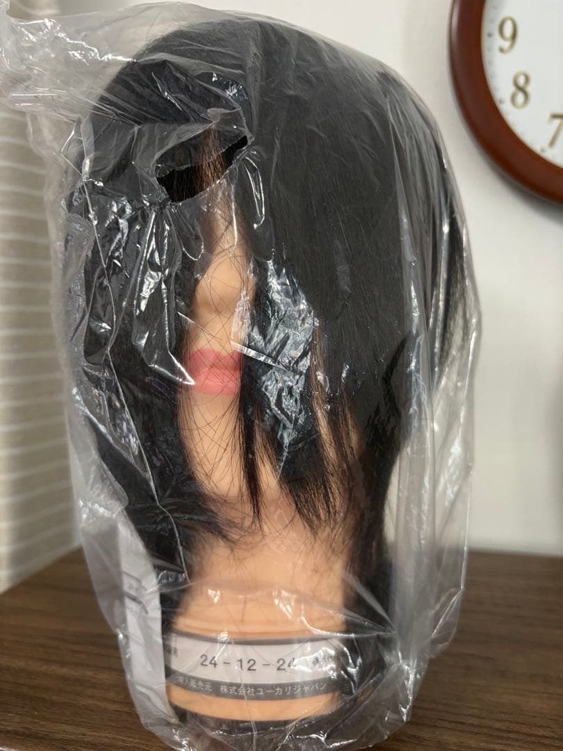 国家試験用レイヤーカットウィッグ新品未使用 - メルカリ